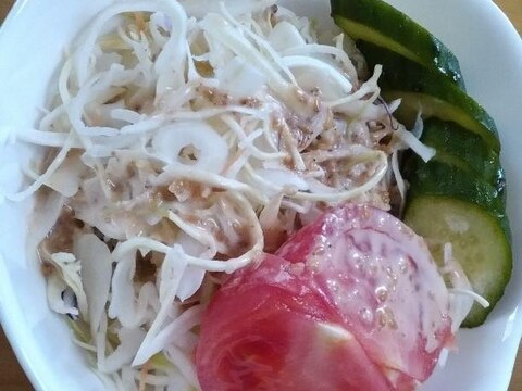 桃太郎トマトと胡瓜と千切りキャベツのサラダ